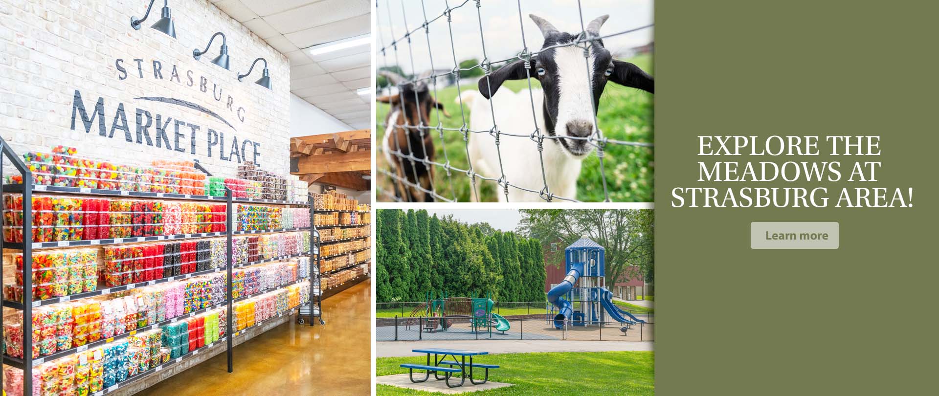 Meadows at Strasburg EGStoltzfus Homes