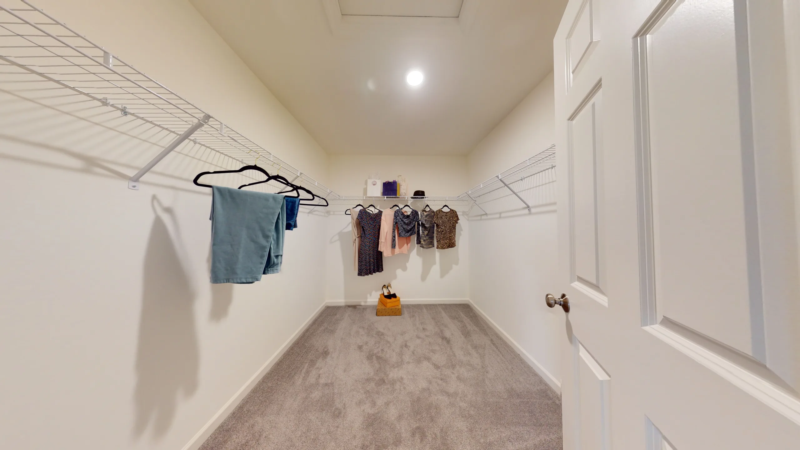 A walk-in closet with carpeted floor, white walls, wire shelving on both sides holding a few clothes and hangers, and a white door partially open. A light is on the ceiling.