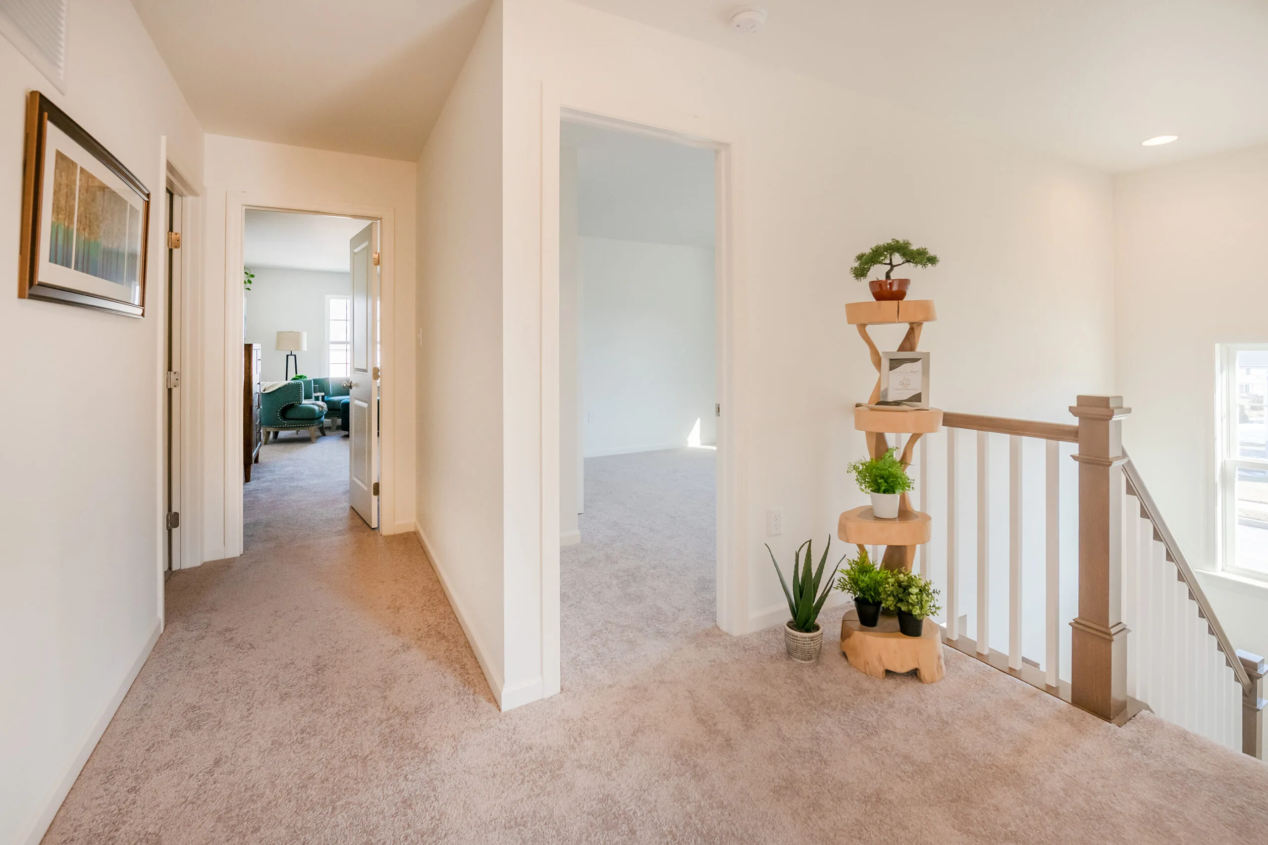 A bright, carpeted upstairs hallway with white walls, a wooden railing, several green potted plants on a tiered stand, and two open doors leading to other rooms.
