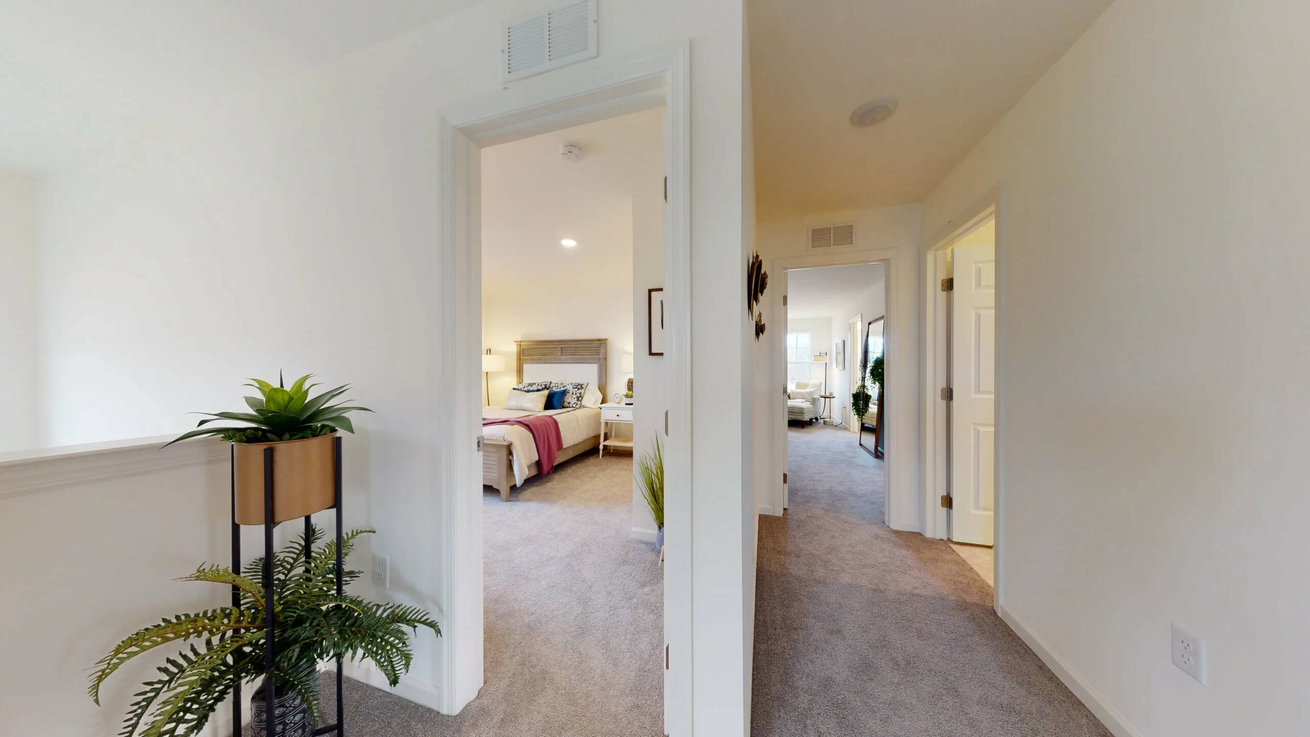 A hallway with beige carpet and white walls leads to two bedrooms, each with beds and decor. A tall plant stand with green plants is placed near the hallway entrance. Natural light brightens the space.
